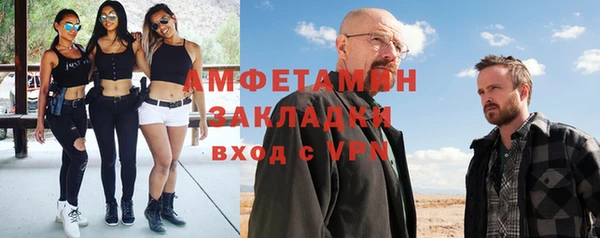 прущие грибы Новодвинск