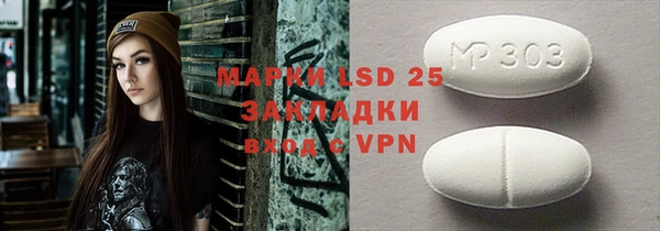 прущие грибы Новодвинск