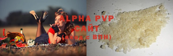 прущие грибы Новодвинск