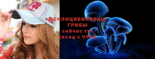 прущая мука Няндома