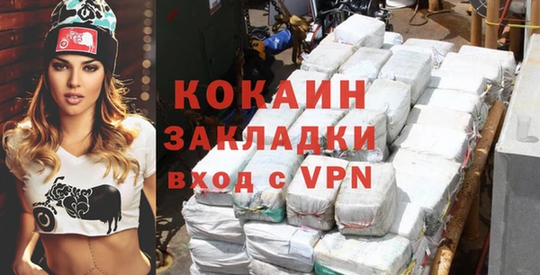 прущие грибы Новодвинск