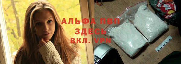 прущие грибы Новодвинск