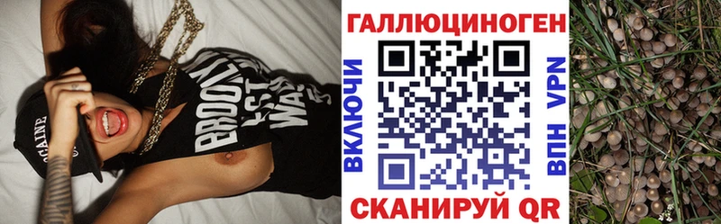 Галлюциногенные грибы мухоморы  дарнет шоп  Воронеж 