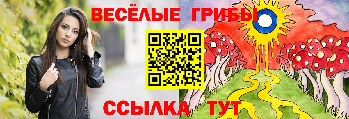 Галлюциногенные грибы MAGIC MUSHROOMS  где найти   Воронеж  Вход с VPN 