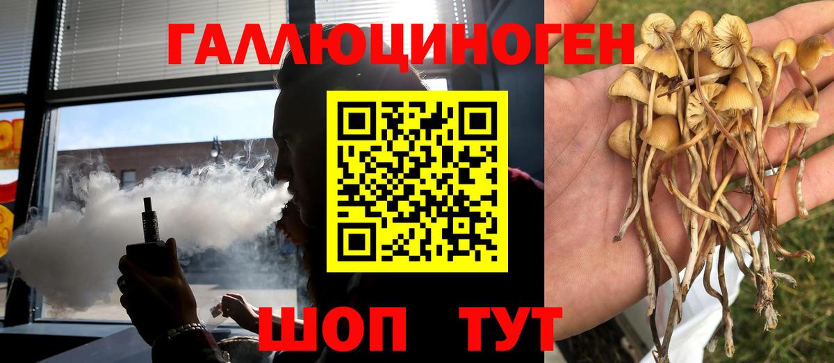 Псилоцибиновые грибы Magic Shrooms  Воронеж  Галлюциногенные грибы Cubensis 